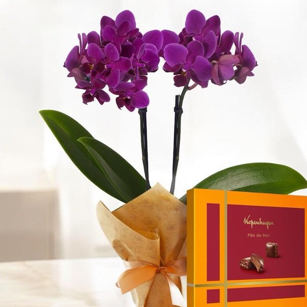 Mini Orquídea Rara e Pão de Mel Recheado Kopenhagen