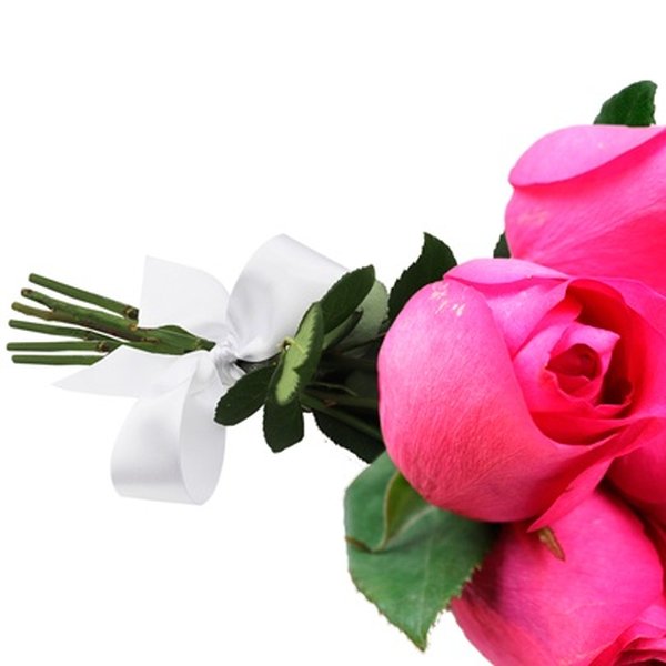 Buquê de 6 Rosas Pink
