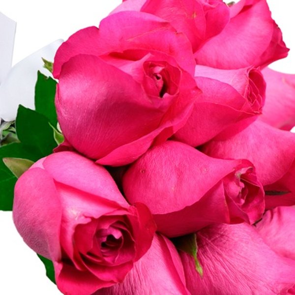 Buquê de 12 Rosas Pink