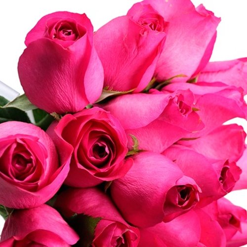 Buquê de 24 Rosas Pink