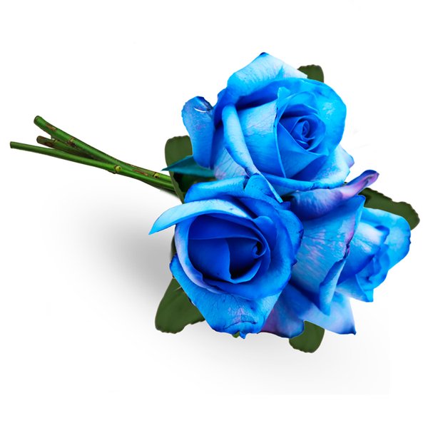 Buquê de 3 Rosas Azuis