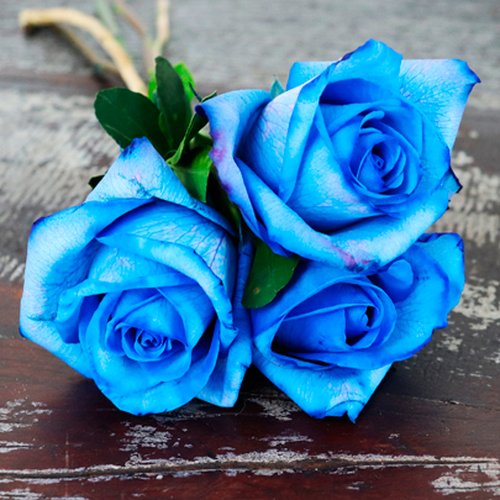 Buquê de 3 Rosas Azuis