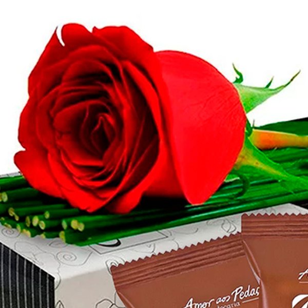 Sensacional Rosa Vermelha e Pães de Mel Amor aos Pedaços