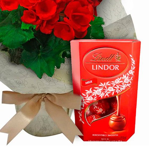 Begônia Vermelha e Chocolate Lindt