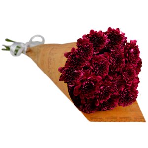 Imagem de Buquê Partitura de Pinóquio Marsala