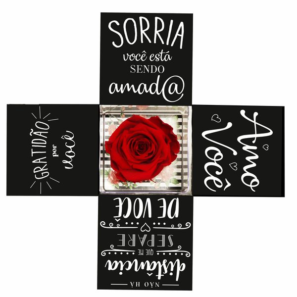 Surpresa de Rosa Encantada no Acrílico