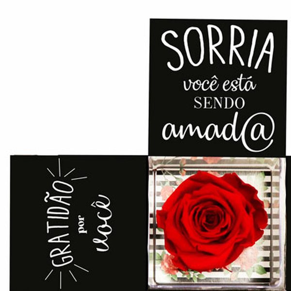 Surpresa de Rosa Encantada no Acrílico