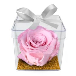 Imagem de Mini Box de Rosa Encantada Cor de Rosa