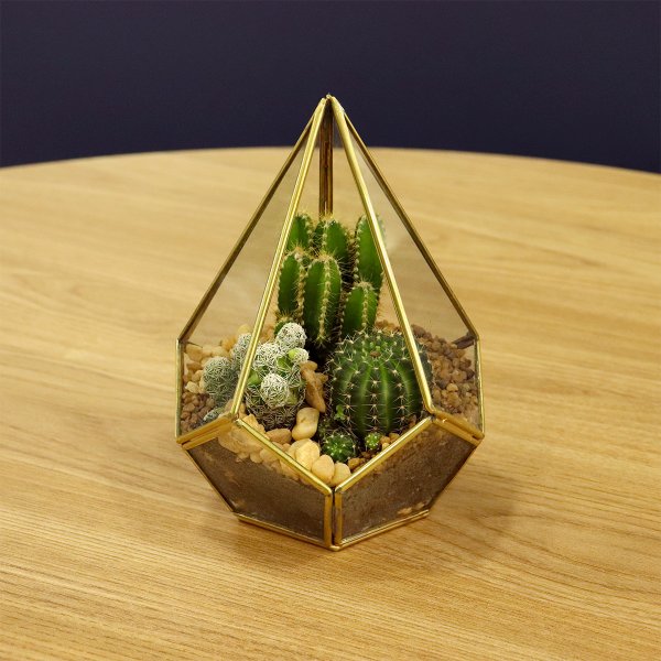 Terrário de Pirâmide
