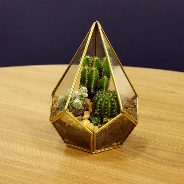 Terrário de Pirâmide