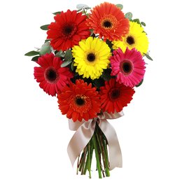 Imagem de Buquê de Gérberas Coloridas