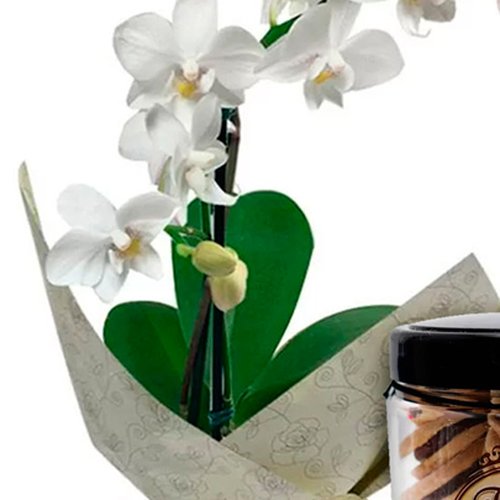 Mini Orquídea Rara Branca com Bolachinhas Gourmet Dona do Doce