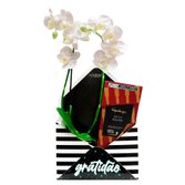Orquídea Mini Rara e Chocolates Kopenhagen no Envelope