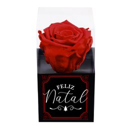 Imagem de Rosa Encantada Vermelha Feliz Natal