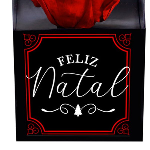 Rosa Encantada Vermelha Feliz Natal