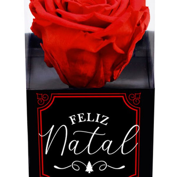 Rosa Encantada Vermelha Feliz Natal