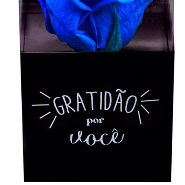 Rosa Encantada Azul Escura "Gratidão Por Você"