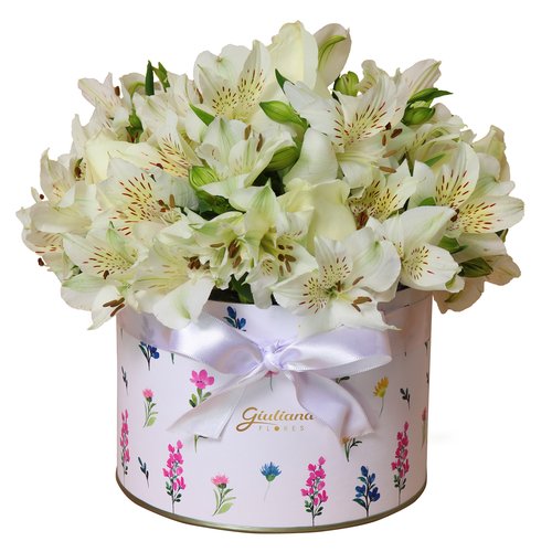 Delicado Box de Astromélias e Rosas Brancas