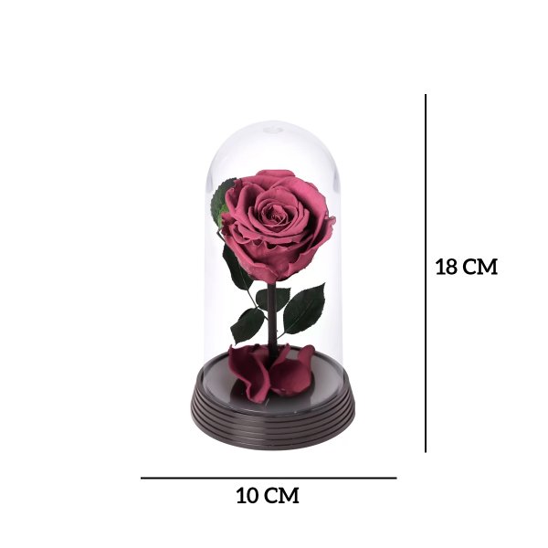 A Bela Rosa Encantada Roxa