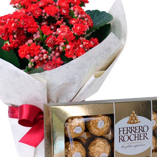 Kalanchoes Vermelhos e Ferrero Rocher