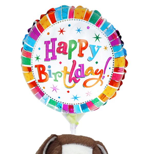 Balão Happy Birthday e Cachorro Bob