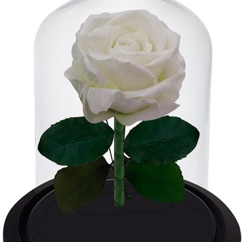 Rosa Branca Artificial na Cúpula de Vidro