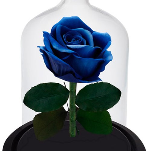 Rosa Azul Artificial na Cúpula de Vidro Giuliana Flores