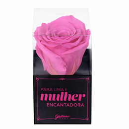 Imagem de Rosa Encantada Pink Para Uma Mulher Encantadora