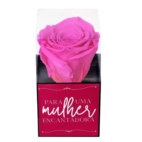 Rosa Encantada Pink Para Uma Mulher Encantadora