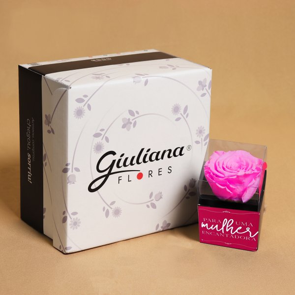 Rosa Encantada Pink Para Uma Mulher Encantadora