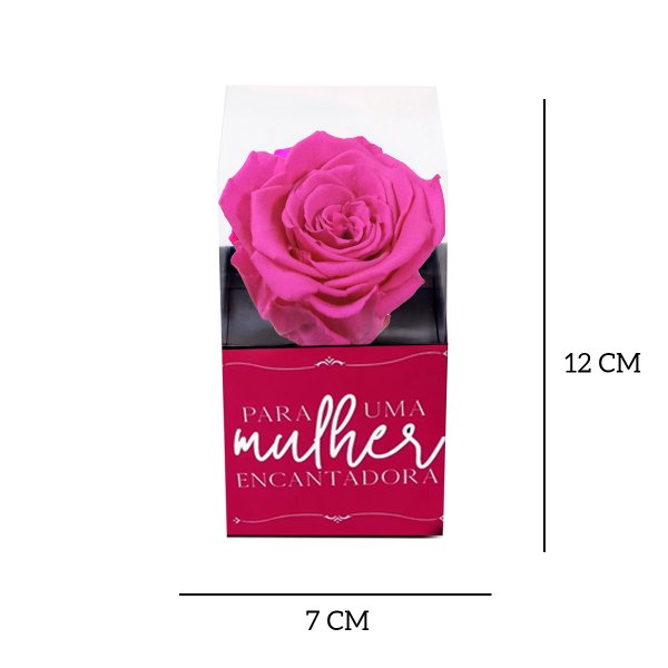 Rosa Encantada Pink Para Uma Mulher Encantadora
