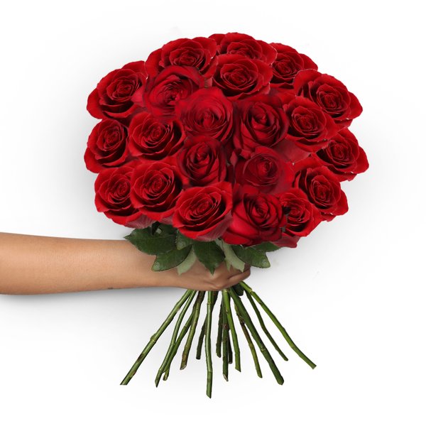 Ramalhete de 20 Rosas Vermelhas Veneza