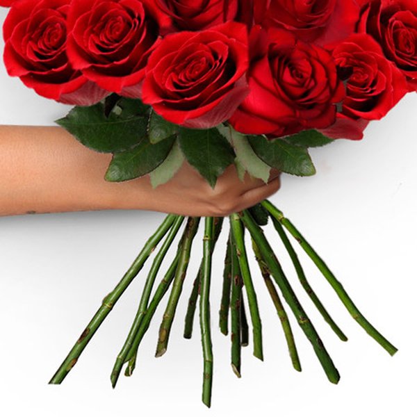 Ramalhete de 20 Rosas Vermelhas Veneza