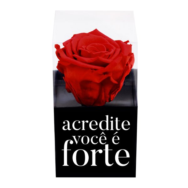 Rosa Encantada Vermelha Acredite Você é Forte