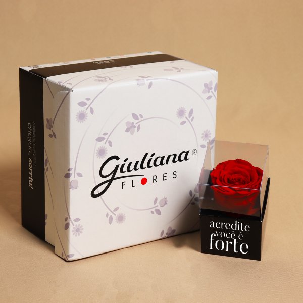 Rosa Encantada Vermelha Acredite Você é Forte