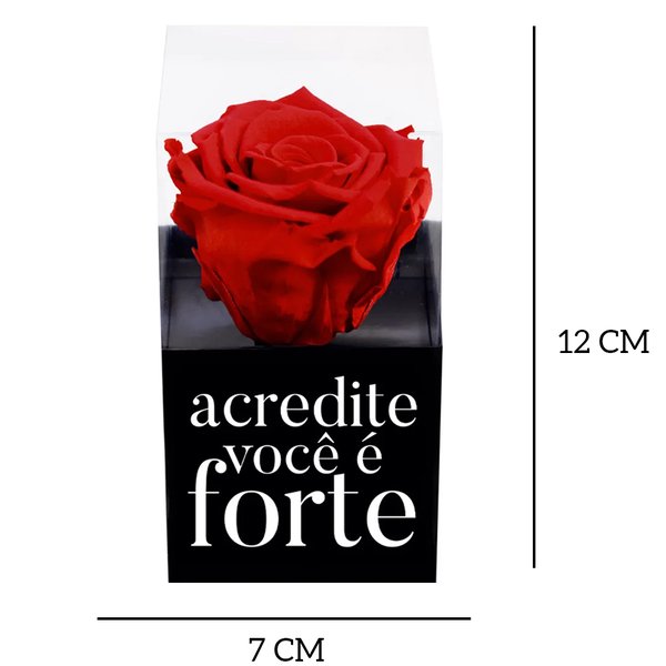 Rosa Encantada Vermelha Acredite Você é Forte