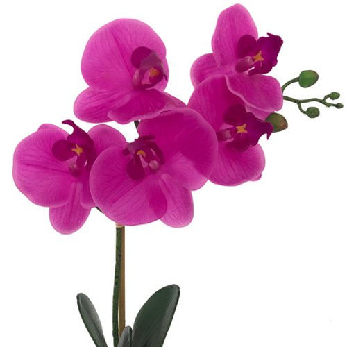 Orquídea Artificial Rosa no Vaso de Vidro