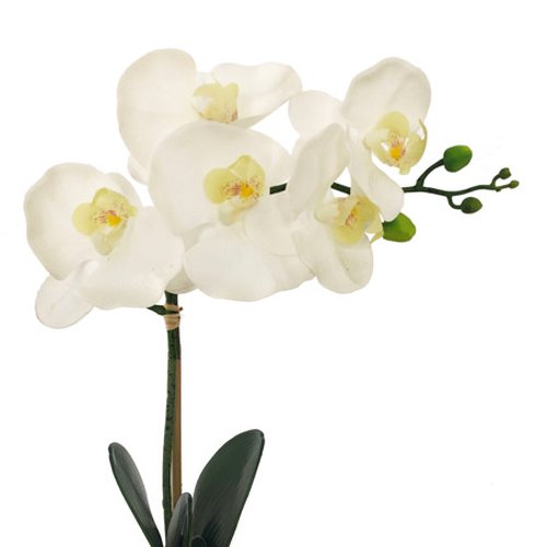 Orquídea Artificial Branca no Vaso de Vidro
