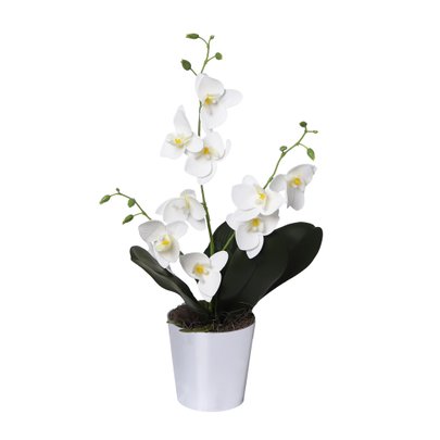 Orquídea Artificial Branco no Vaso de Acrílico