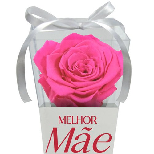 Cone Branco de Rosa Encantada Pink Melhor Mãe