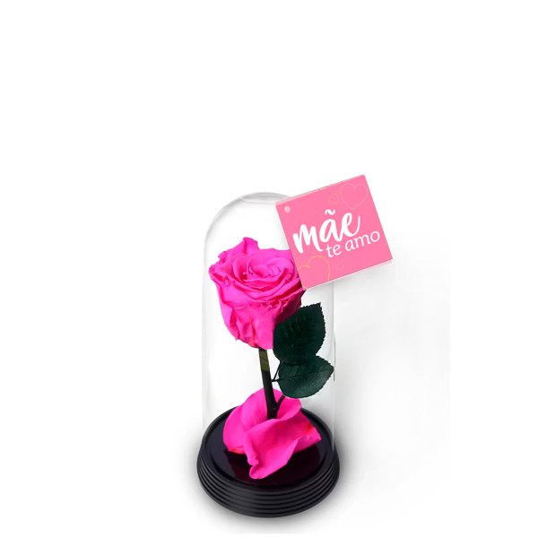 A Bela Rosa Encantada Mãe Te Amo