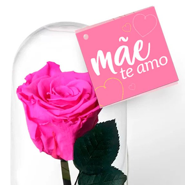 A Bela Rosa Encantada Mãe Te Amo