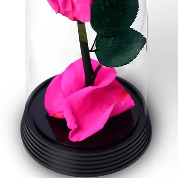 A Bela Rosa Encantada Mãe Te Amo