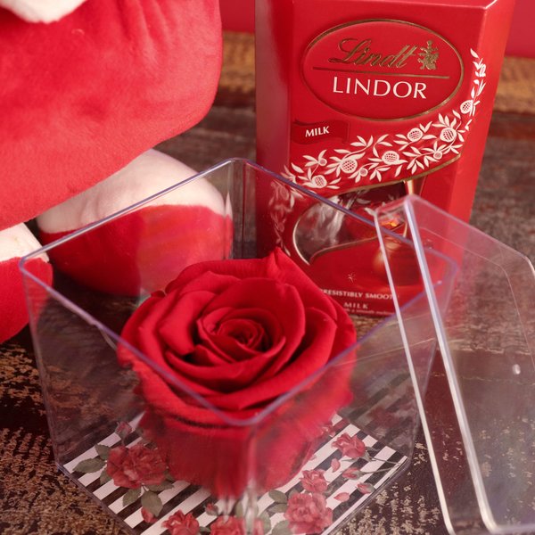 Rosa Encantada no Acrílico com Lindt e Ursinho Carinhoso