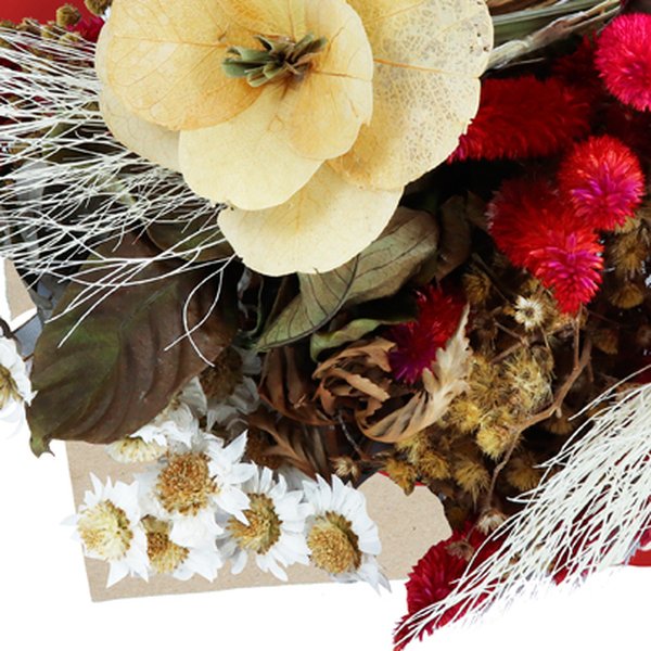 Buquê Poesia de Flores Secas Vermelhas