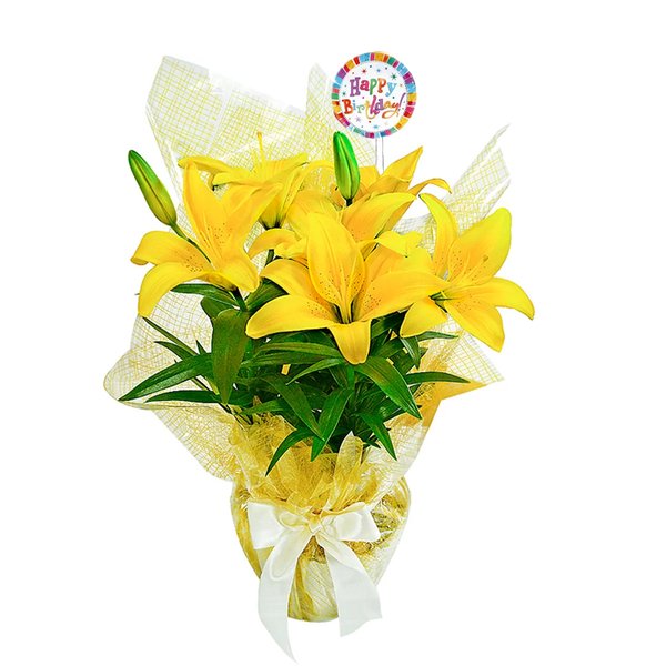 Lirio Amarelo Plantado Happy Birthday
