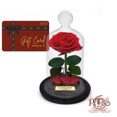 Gift Card Black Paris 6 e Rosa Encantada Vermelha