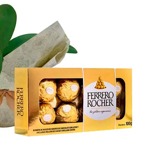 Mini Orquídea Rara Lilás e Ferrero Rocher
