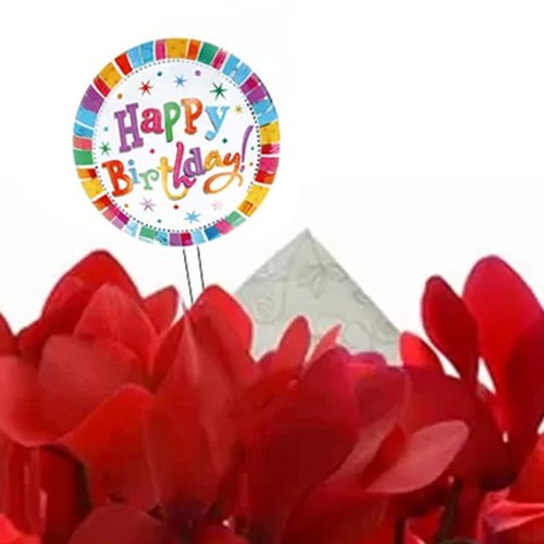 Mini Cíclame Vermelho Happy Birthday