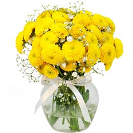 Imagem de Brisa de Pinóquios Amarelos e Gypsophila